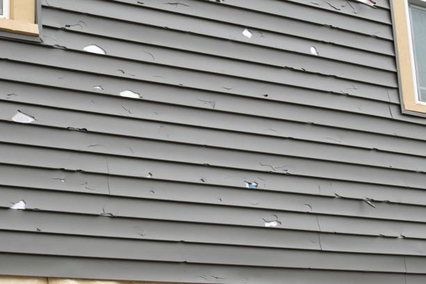 Best Storm Damage Siding Repair  in Smoke Rise, AL